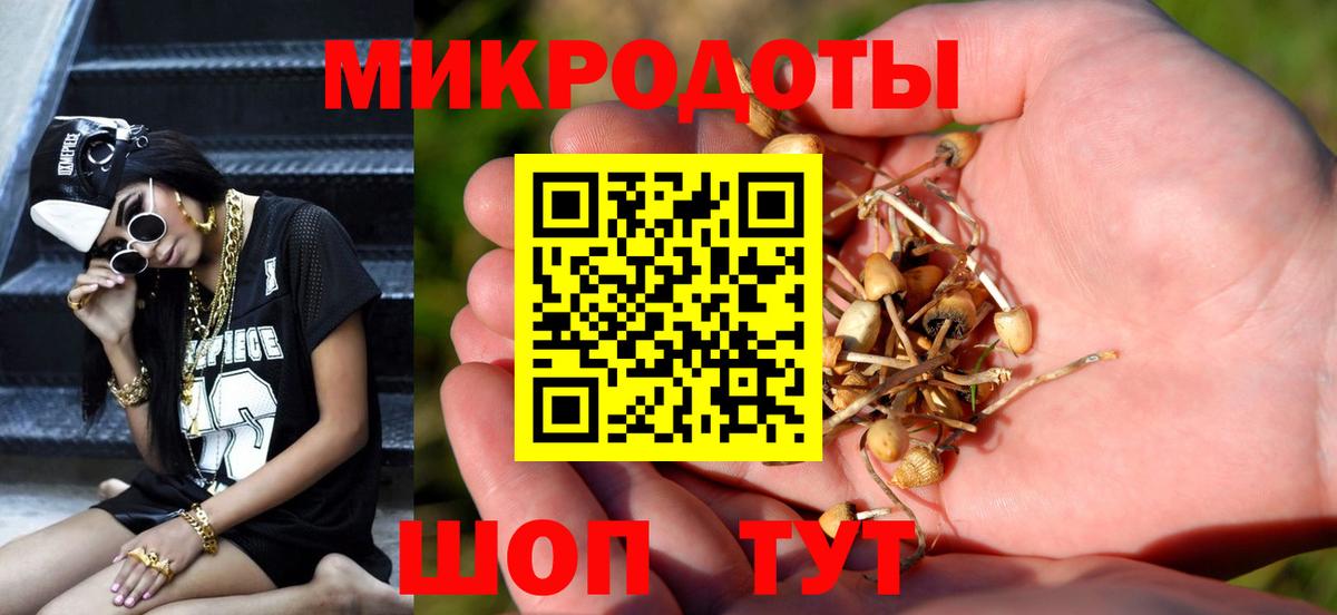 Дубна  Псилоцибиновые грибы Psilocybe  Вход с VPN  Галлюциногенные грибы Cubensis 