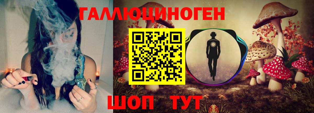 Псилоцибиновые грибы Psilocybine cubensis Дубна